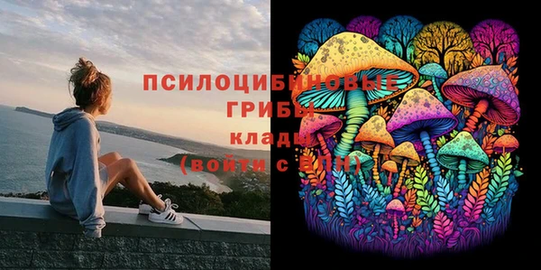 синтетический гашиш Алексеевка