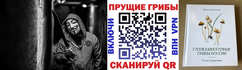 Галлюциногенные грибы Magic Shrooms  Дедовск 