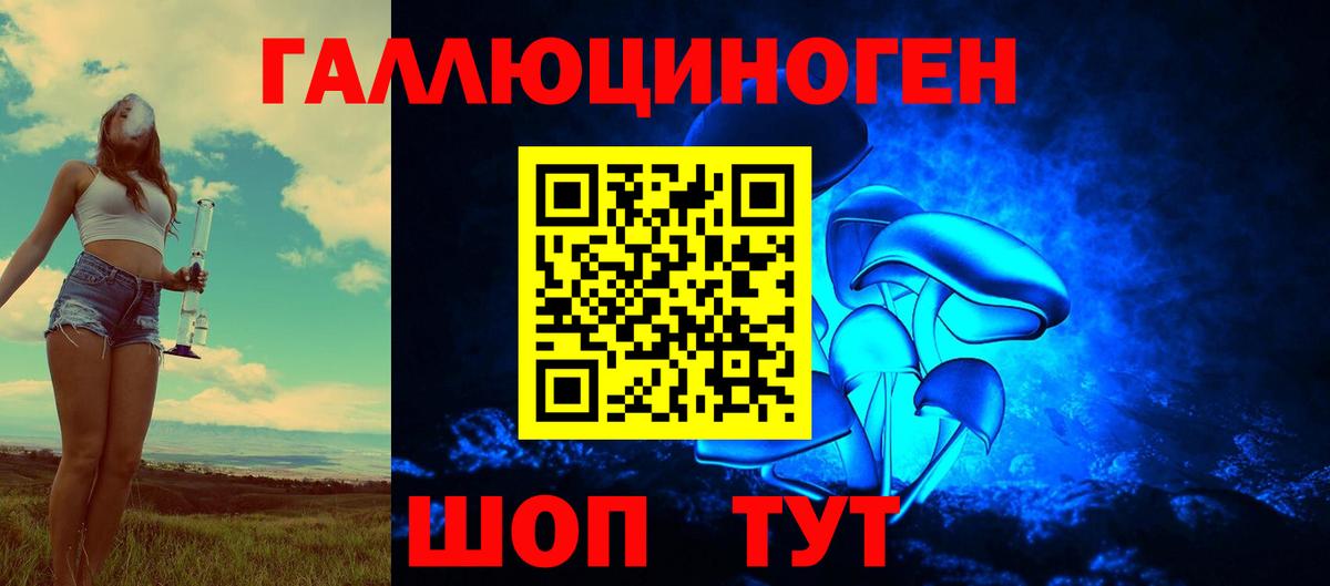 Галлюциногенные грибы Cubensis Дедовск